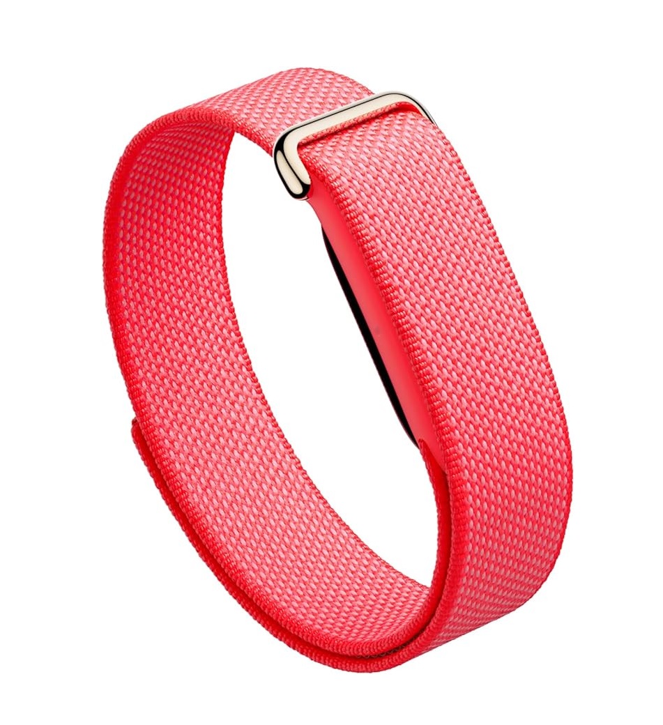 Google Fitbit Air Fitness Tracker - Berry